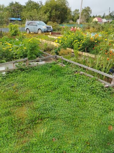 Фото из объявления