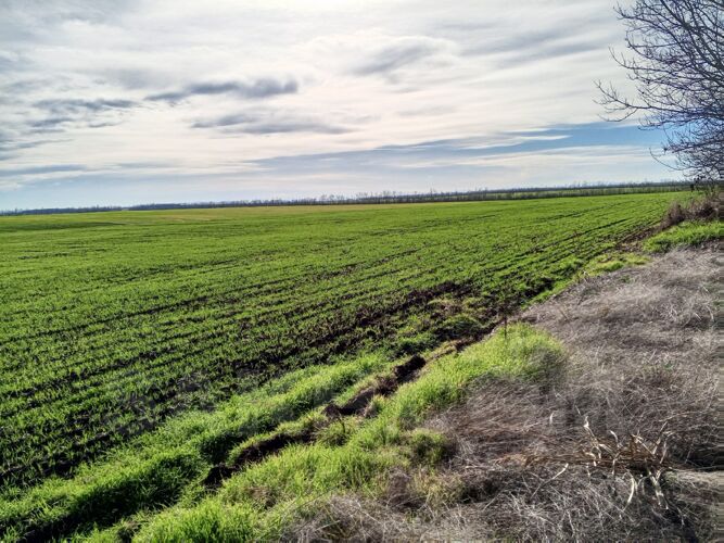 Фото из объявления