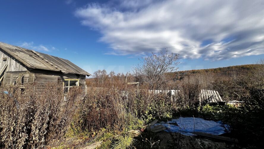 Фото из объявления