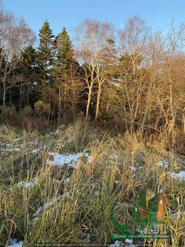 Фото из объявления