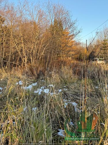 Фото из объявления