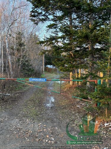 Фото из объявления