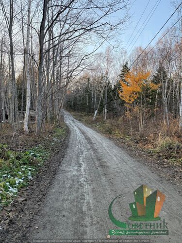 Фото из объявления