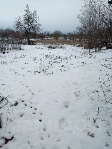 Фото из объявления