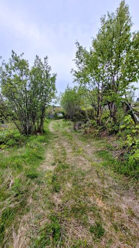 Фото из объявления