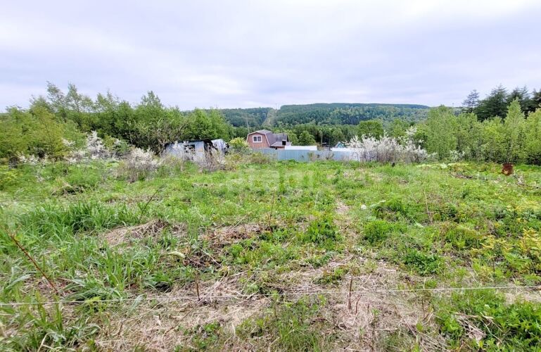 Фото из объявления