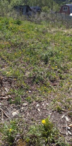 Фото из объявления