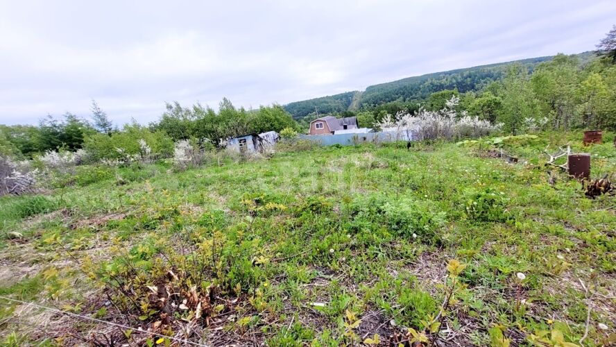 Фото из объявления