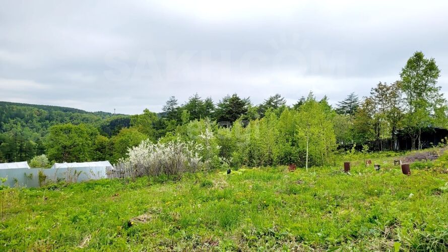 Фото из объявления