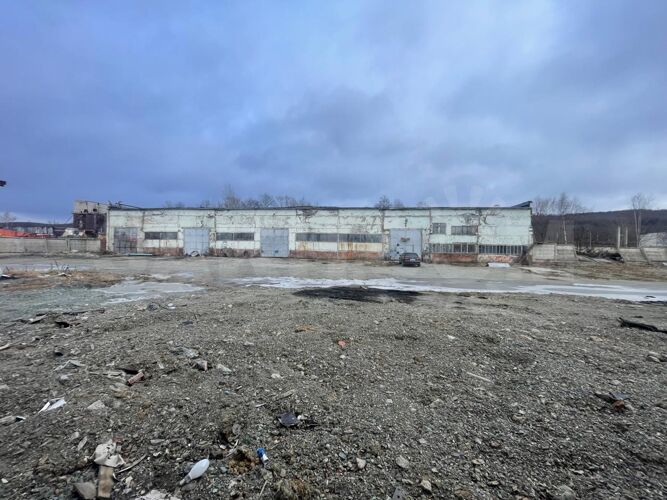 Фото из объявления