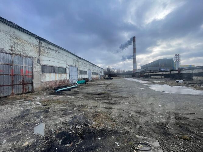 Фото из объявления