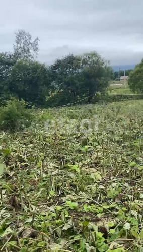 Фото из объявления