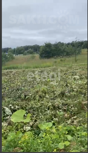 Фото из объявления