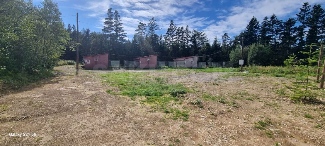 Фото из объявления