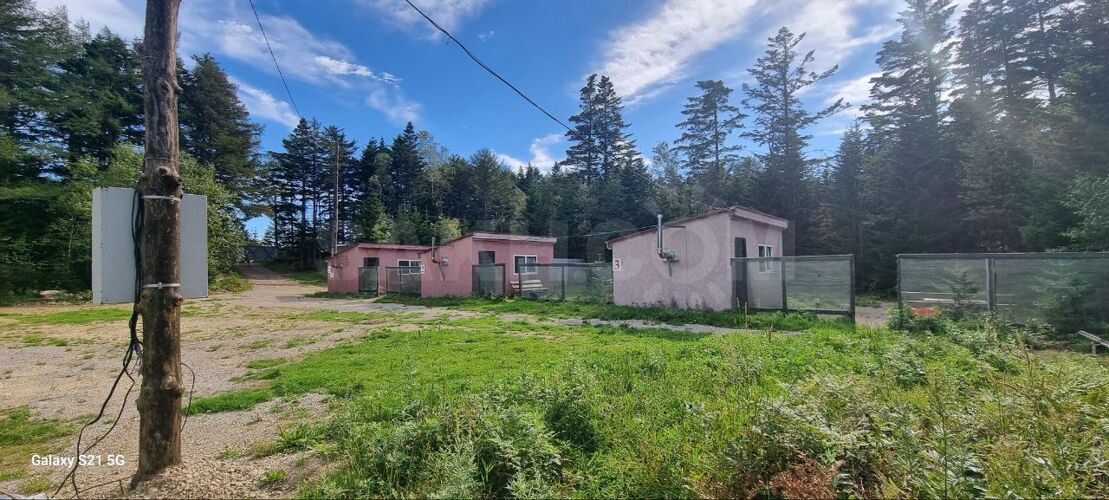 Фото из объявления