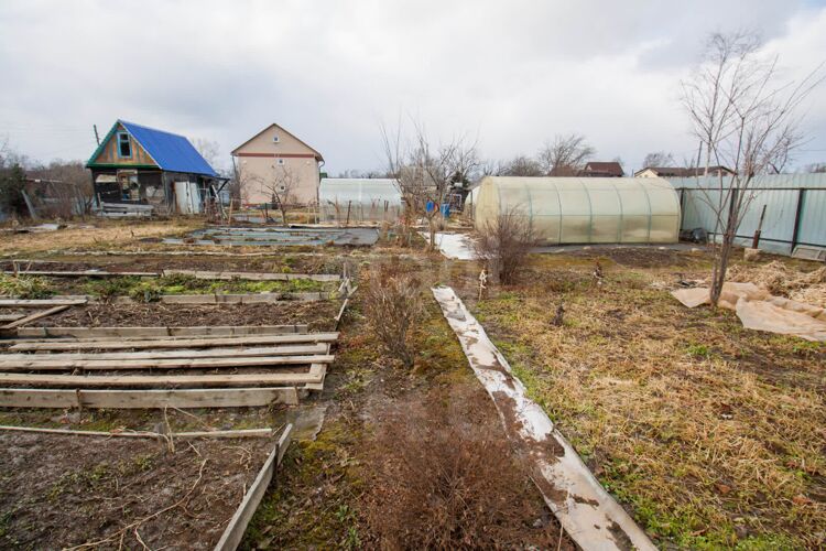 Фото из объявления