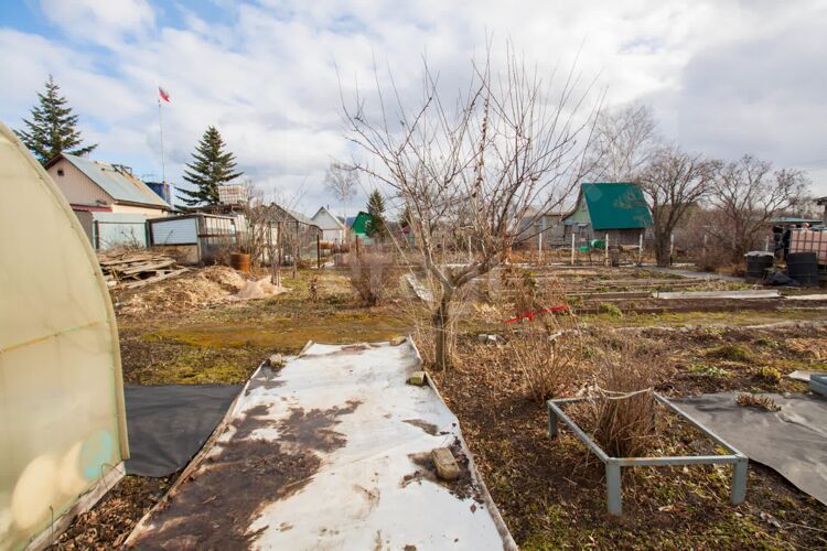 Фото из объявления