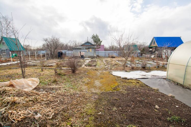 Фото из объявления