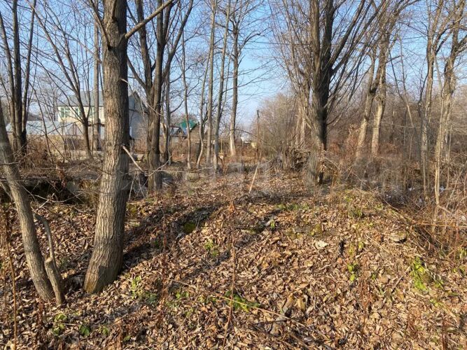 Фото из объявления