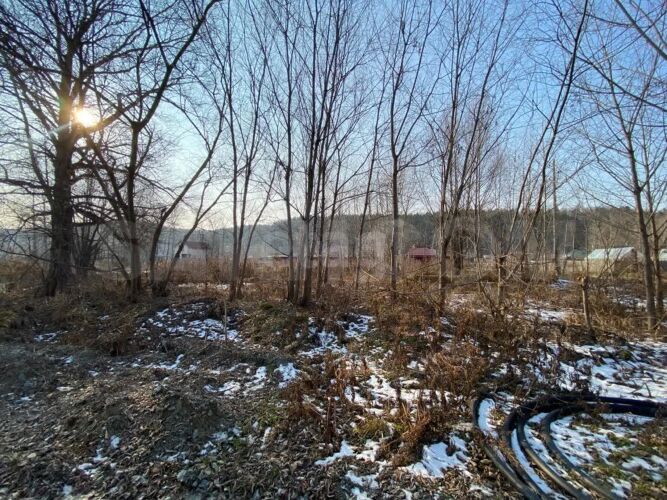 Фото из объявления