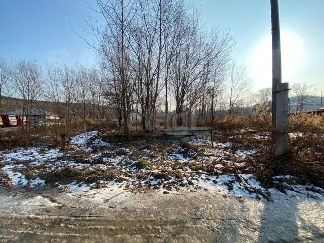 Фото из объявления