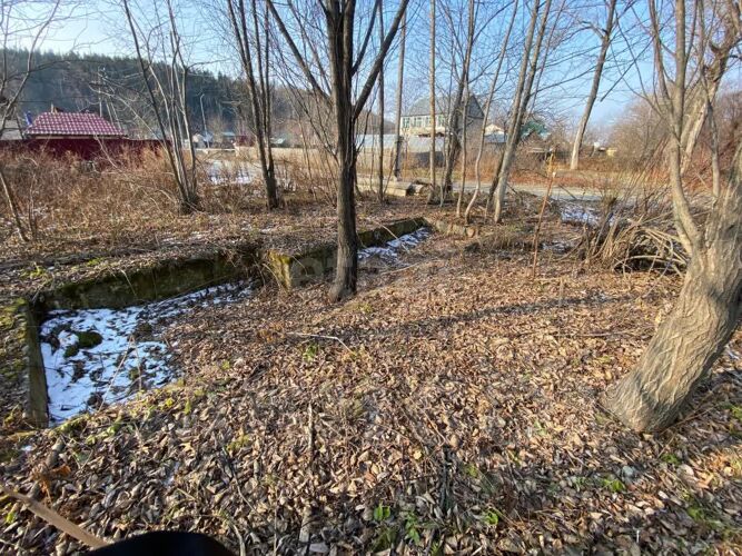 Фото из объявления