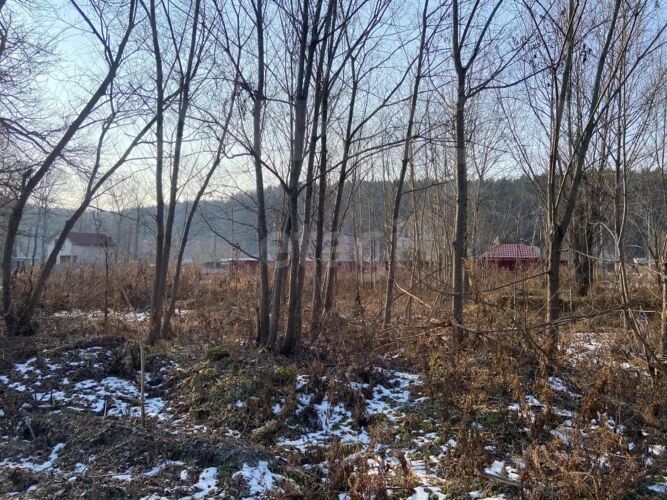 Фото из объявления