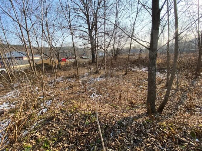 Фото из объявления