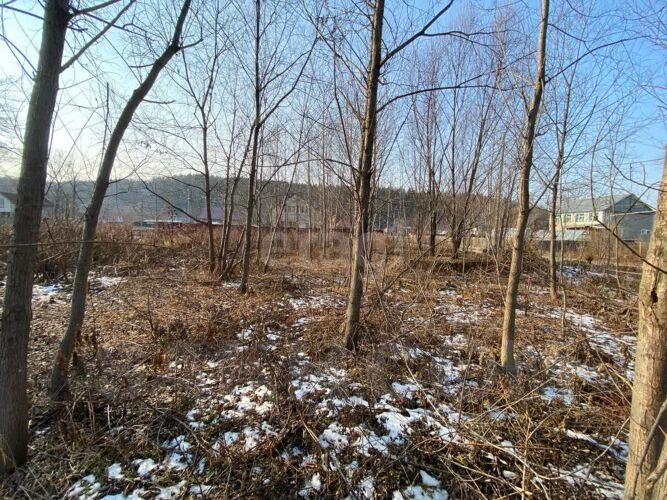 Фото из объявления