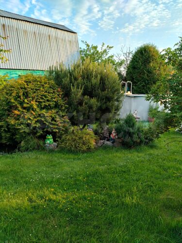 Фото из объявления