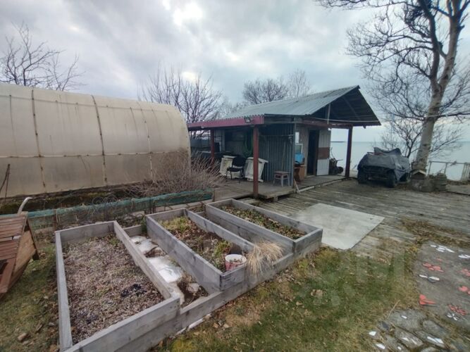 Фото из объявления