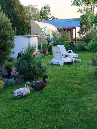 Фото из объявления