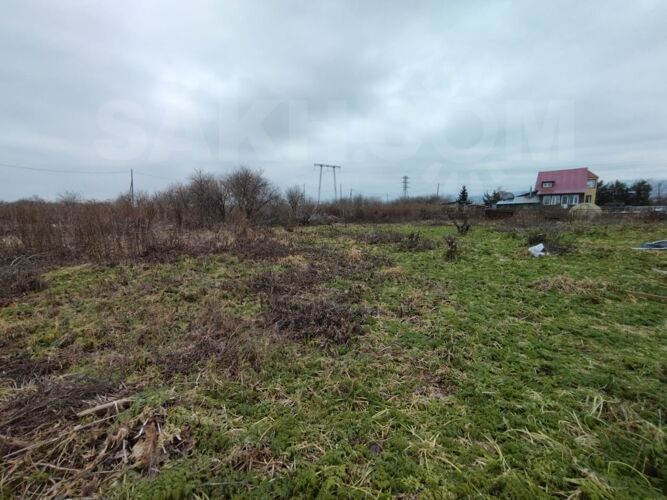 Фото из объявления