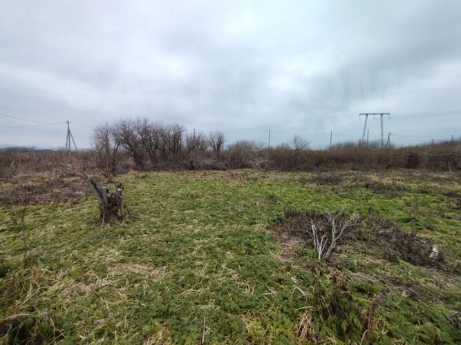 Фото из объявления