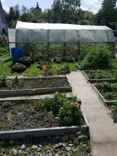 Фото из объявления