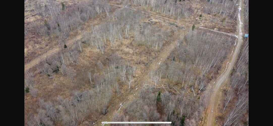 Фото из объявления