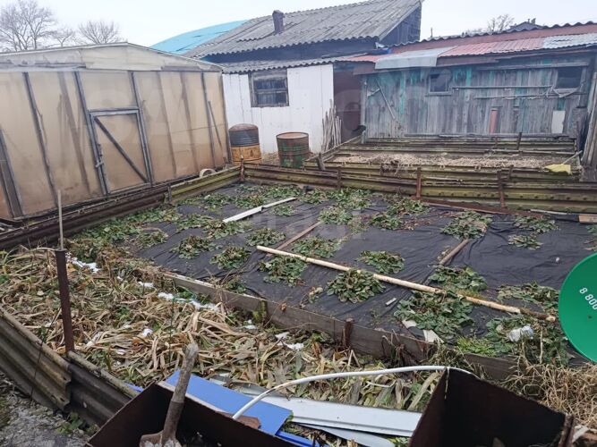 Фото из объявления