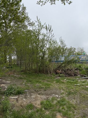 Фото из объявления