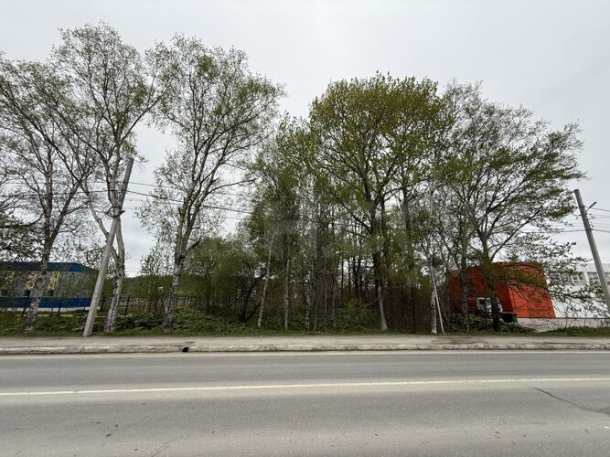 Фото из объявления