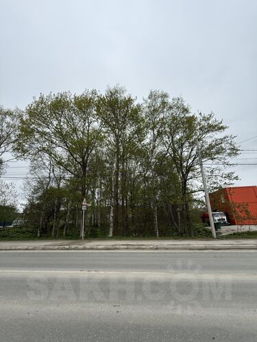 Фото из объявления