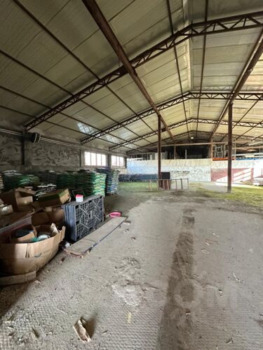 Фото из объявления