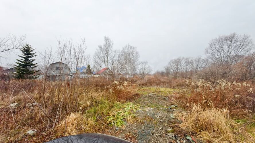 Фото из объявления