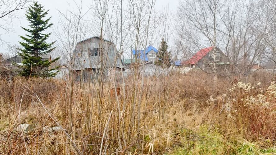 Фото из объявления