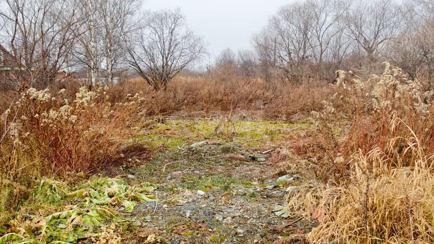 Фото из объявления