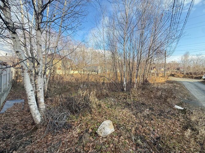 Фото из объявления