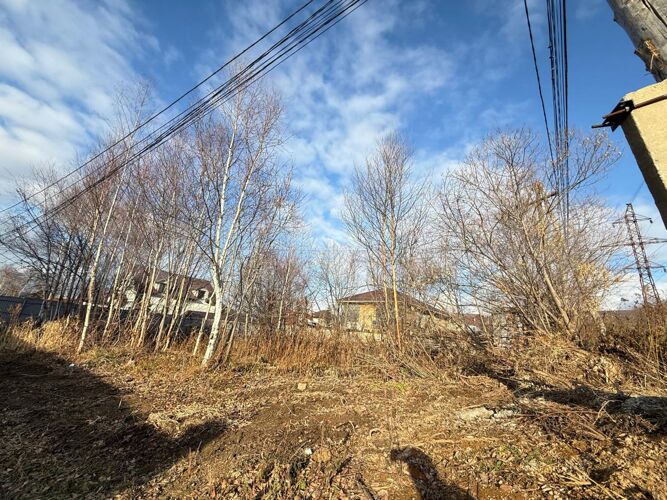 Фото из объявления