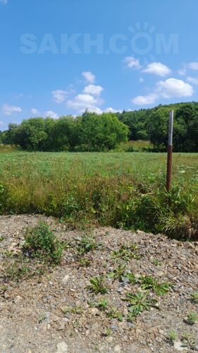 Фото из объявления