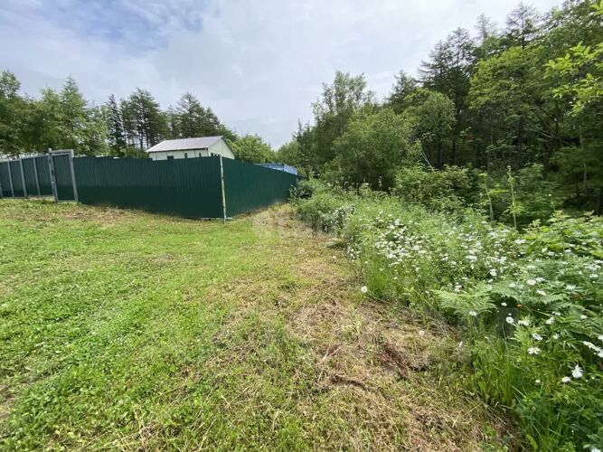 Фото из объявления