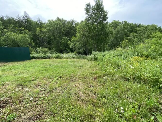 Фото из объявления