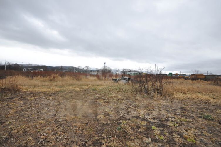 Фото из объявления